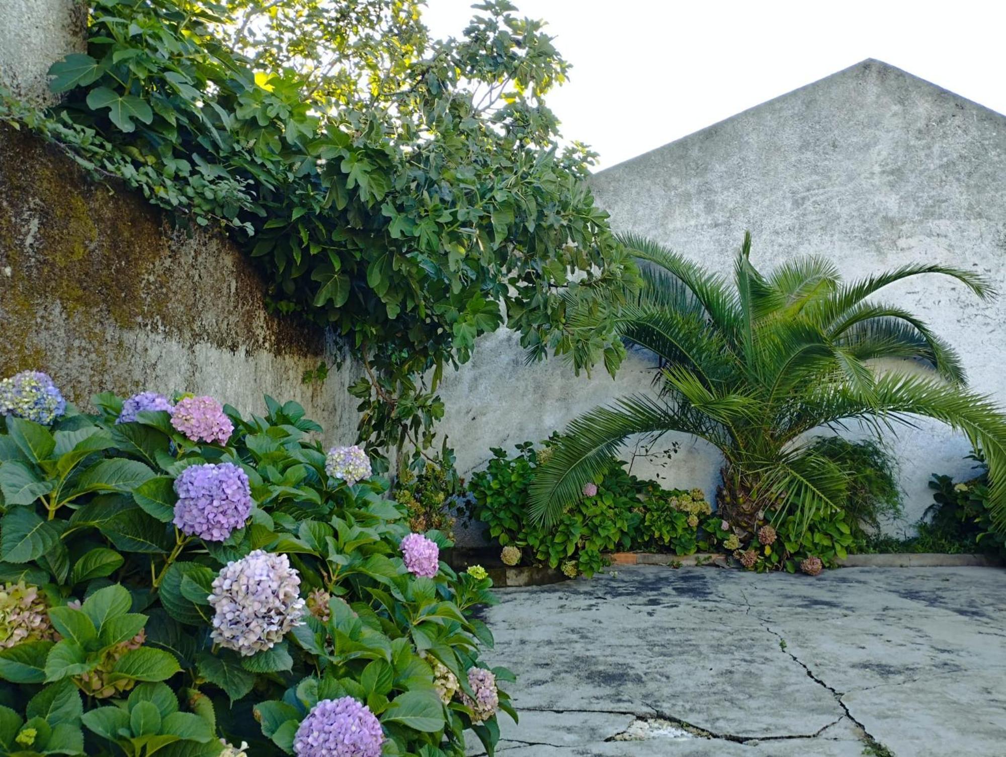 Cle House Villa Anadia Luaran gambar